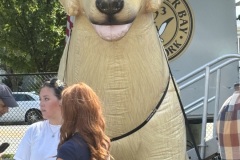 IMG_5128 IMG_5128