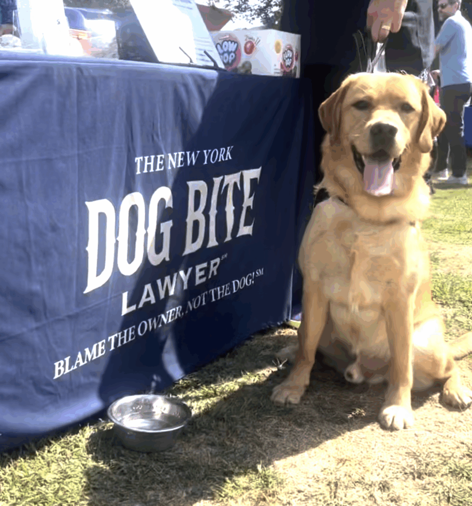 Dog Fest 2025