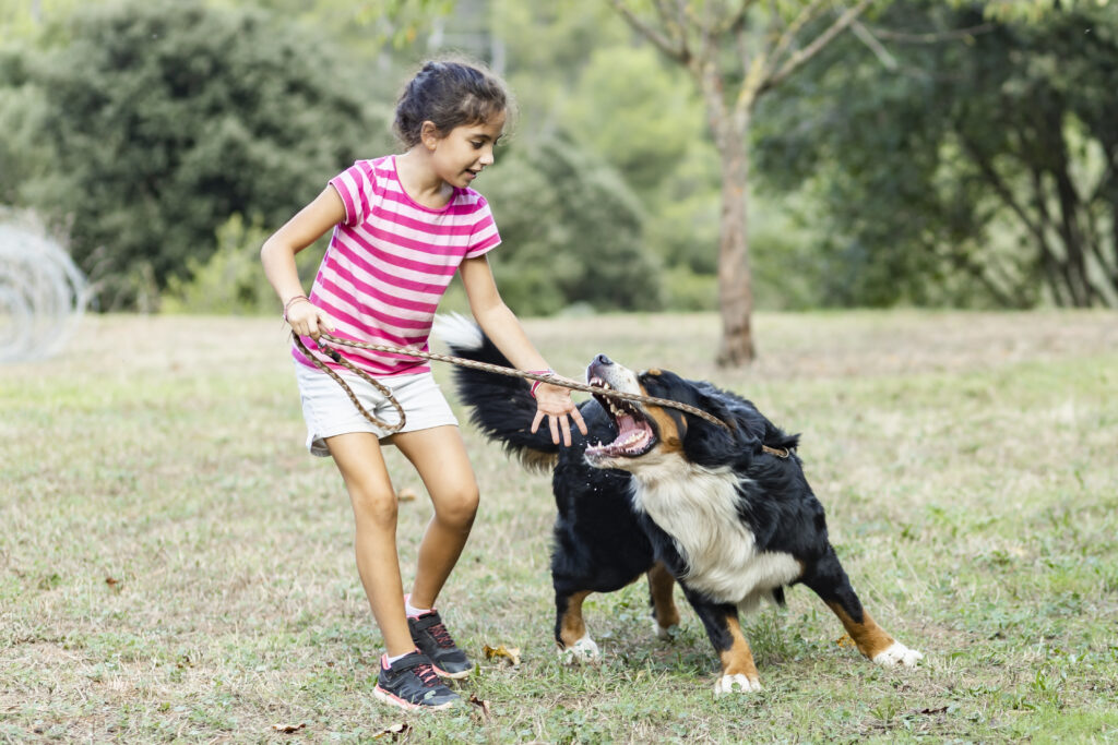 Dog bites with minors